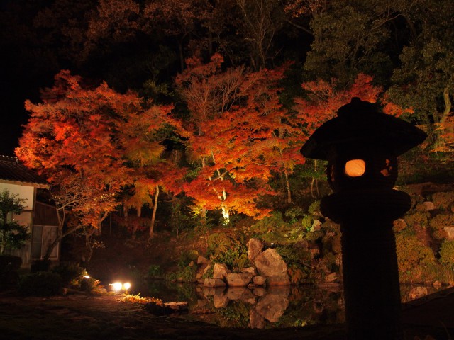 興禅寺の紅葉