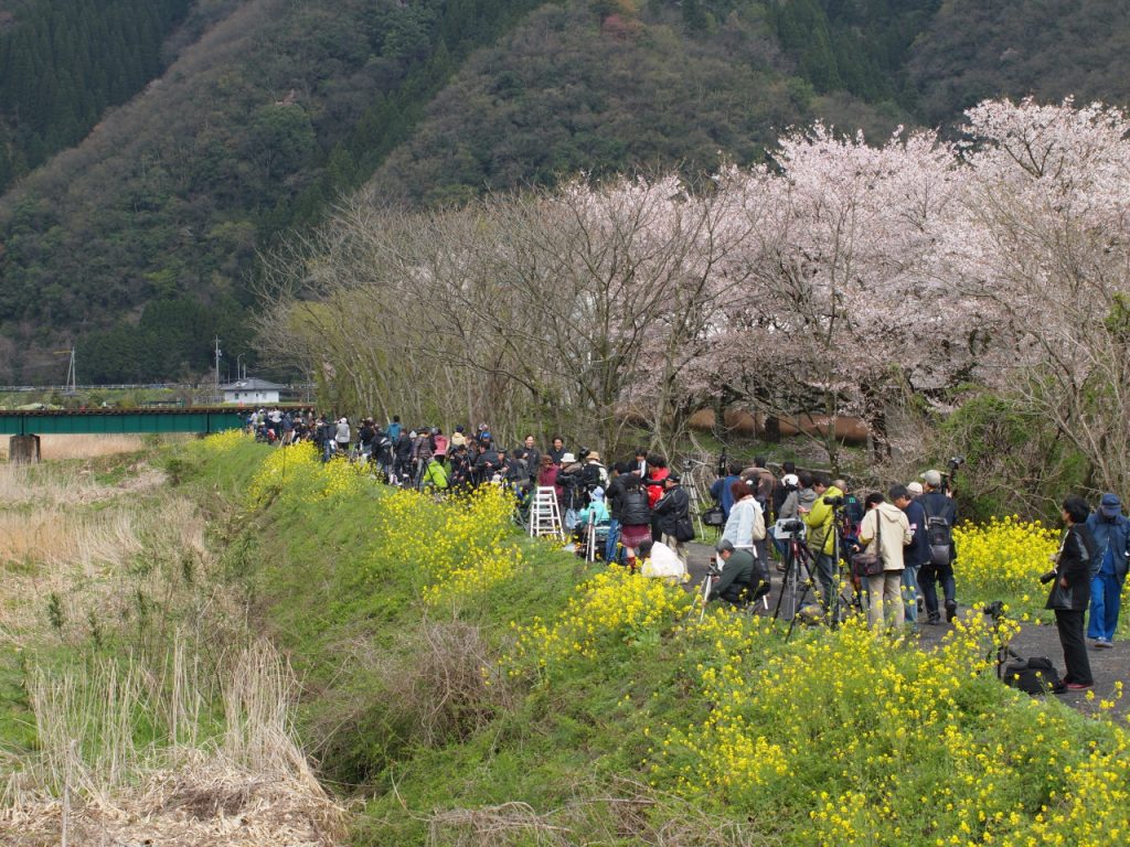 若桜鉄道 撮り鉄の皆さん