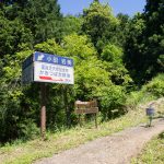 カキツバタ群落の入り口